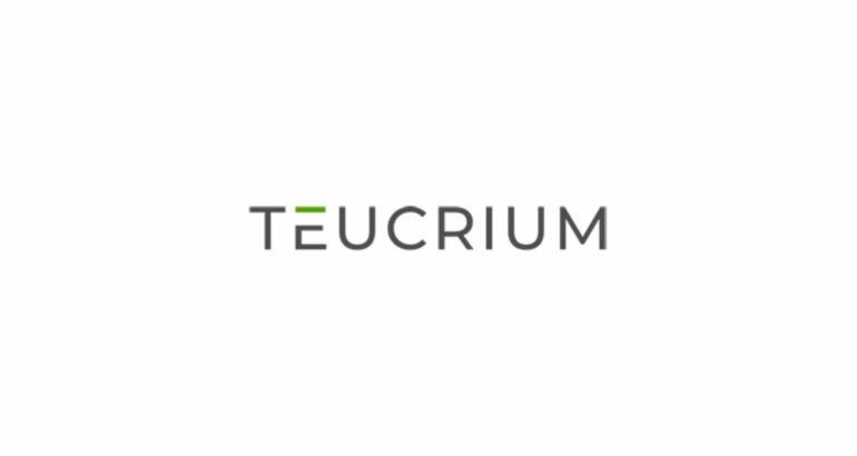 Teucrium